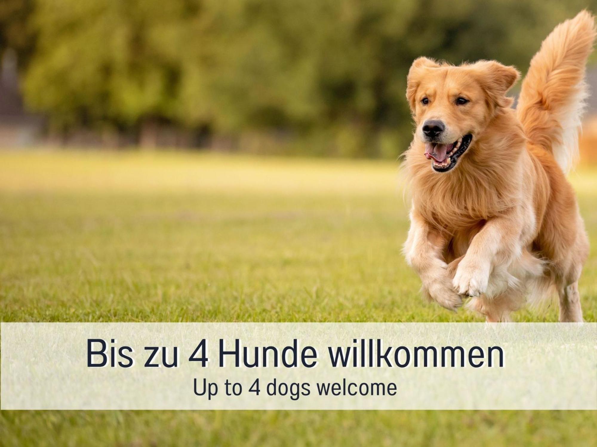 Traum Ferienhaus Burghalde Alpirsbach Luaran gambar